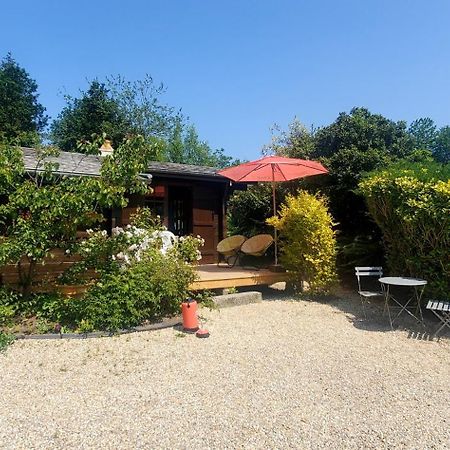 Chalet En Pleine Nature Au Bord D'Un Etang Lanvallay Luaran gambar