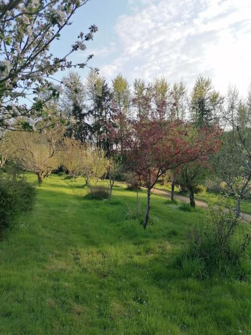 Chalet En Pleine Nature Au Bord D'Un Etang Lanvallay Luaran gambar