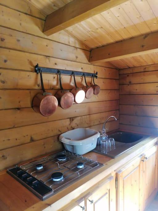 Chalet En Pleine Nature Au Bord D'Un Etang Lanvallay Luaran gambar