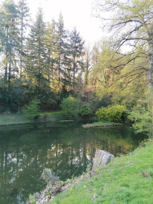 Chalet En Pleine Nature Au Bord D'Un Etang Lanvallay Luaran gambar