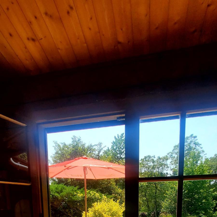 Chalet En Pleine Nature Au Bord D'Un Etang Lanvallay Luaran gambar